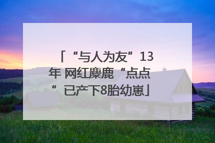 “与人为友”13年 网红麋鹿“点点”已产下8胎幼崽